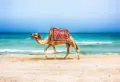 shutterstock_610688177