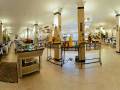 bella_vista_resort_-_sakkala__hurgada_202858