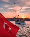 IMG_2486 (1)
