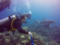 bella_vista_resort_-_sakkala__hurgada_202875